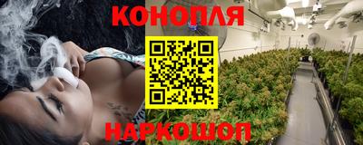 МДПВ Обь