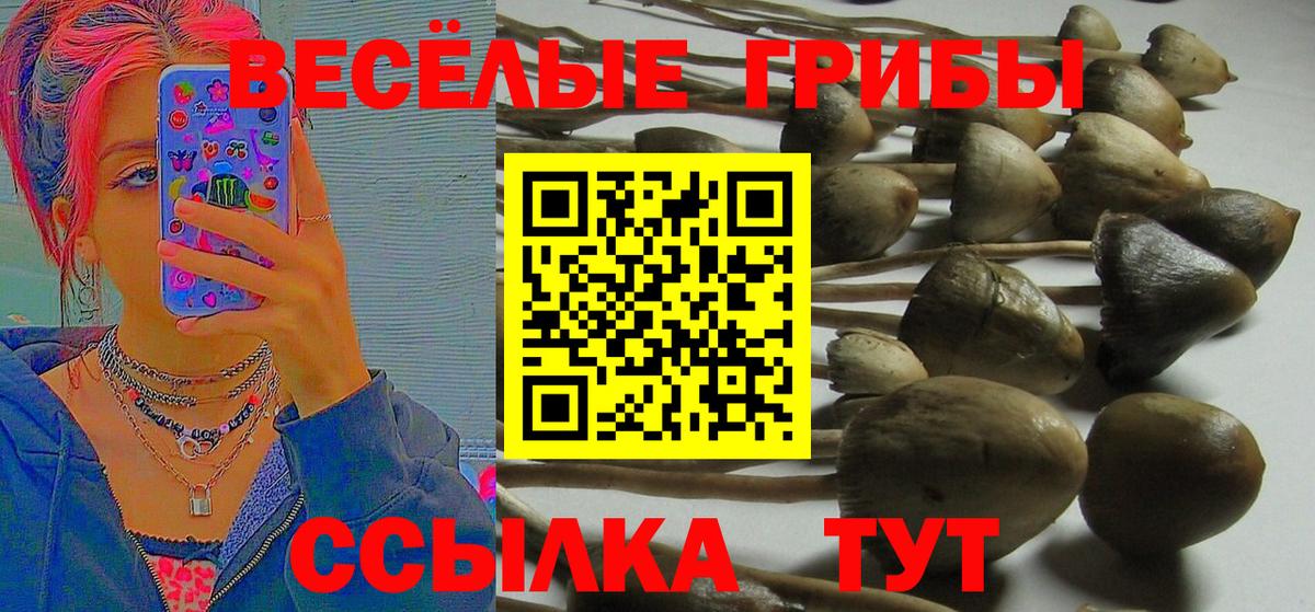 Псилоцибиновые грибы мухоморы Тихвин